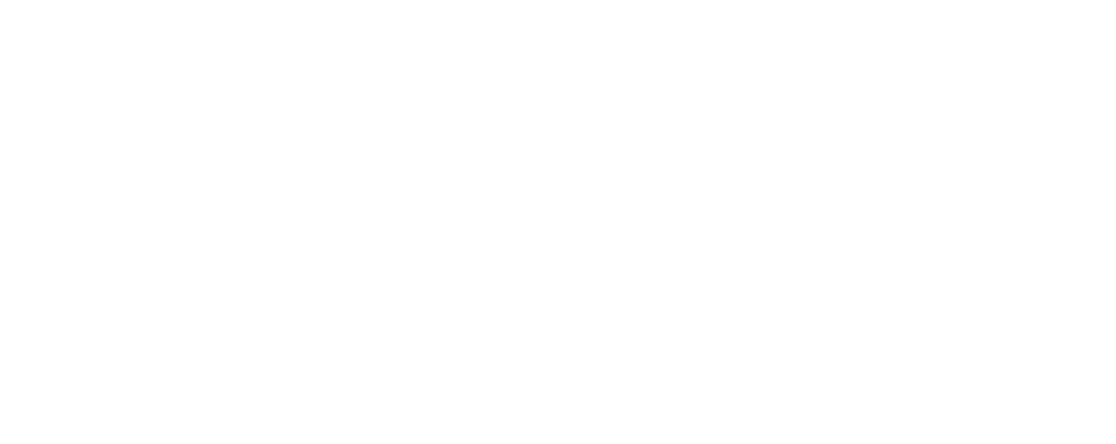 Flexity_logo-bile.png